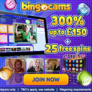 Best Low Wagering Bingo Site - Bingocams