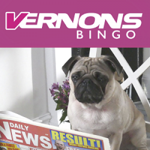 Vernons Bingo - pug - safe bingo site
