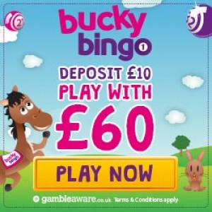 Top 10 Bingo Sites - Bucky