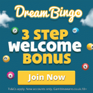 Top 10 Bingo Sites - Dream