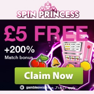 Online Casino Reviews - Spin Princess